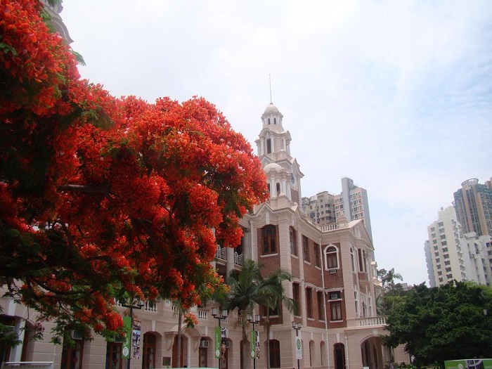 分享香港留學(xué)各專業(yè)申請秘籍，您知道嗎？