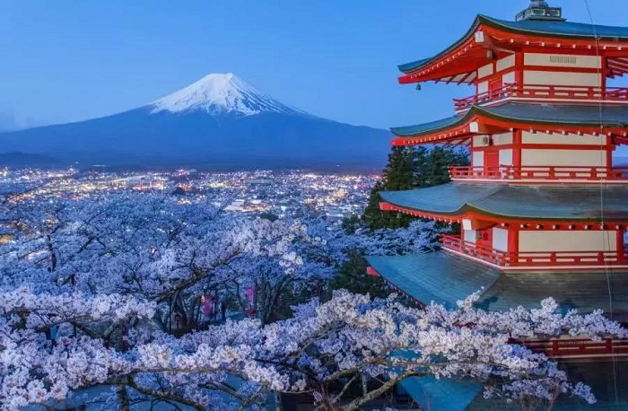 一般日本商標(biāo)注冊費是多少？辦理日本商標(biāo)注冊的流程。