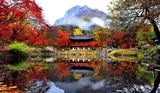 詳述注冊韓國公司都需要什么資料？