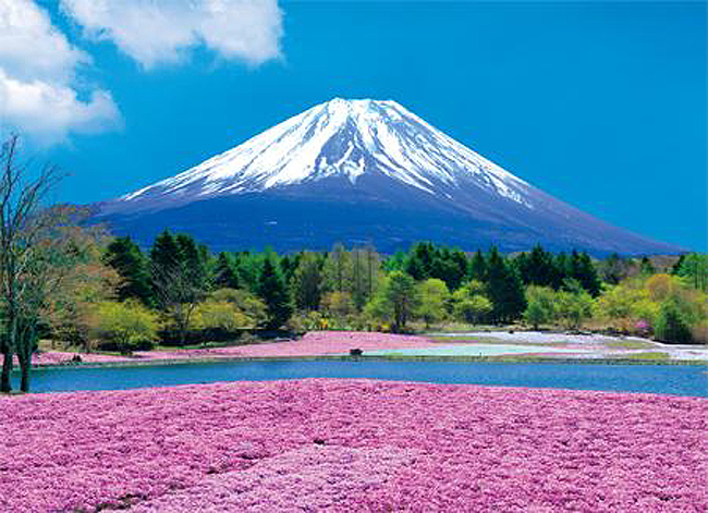 詳細(xì)介紹日本注冊公司有什么要求？