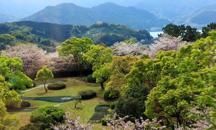 詳細介紹日本注冊公司需要什么資料？