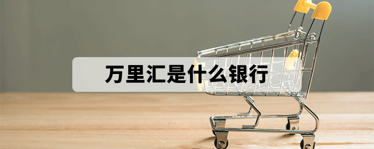詳細(xì)介紹萬(wàn)里匯是什么銀行？